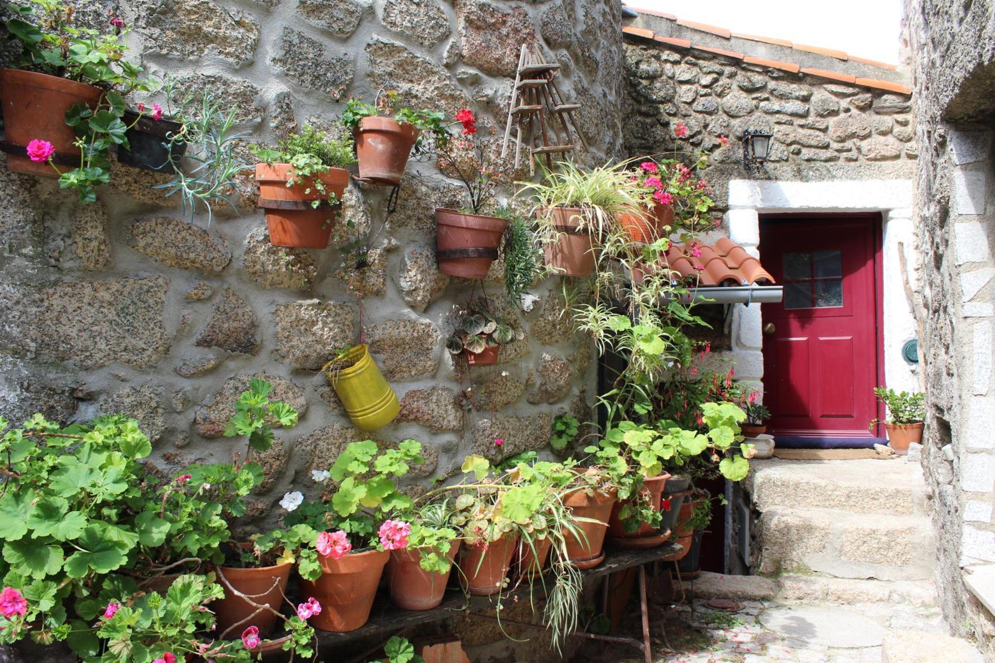 Lugar Sao Salvador De Monsanto Villa Exterior photo